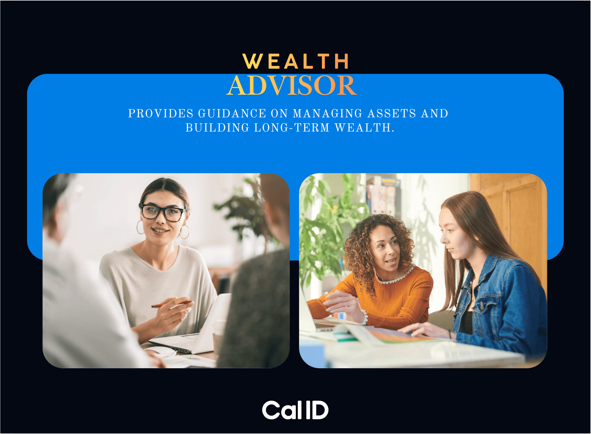 Wealth Advisor