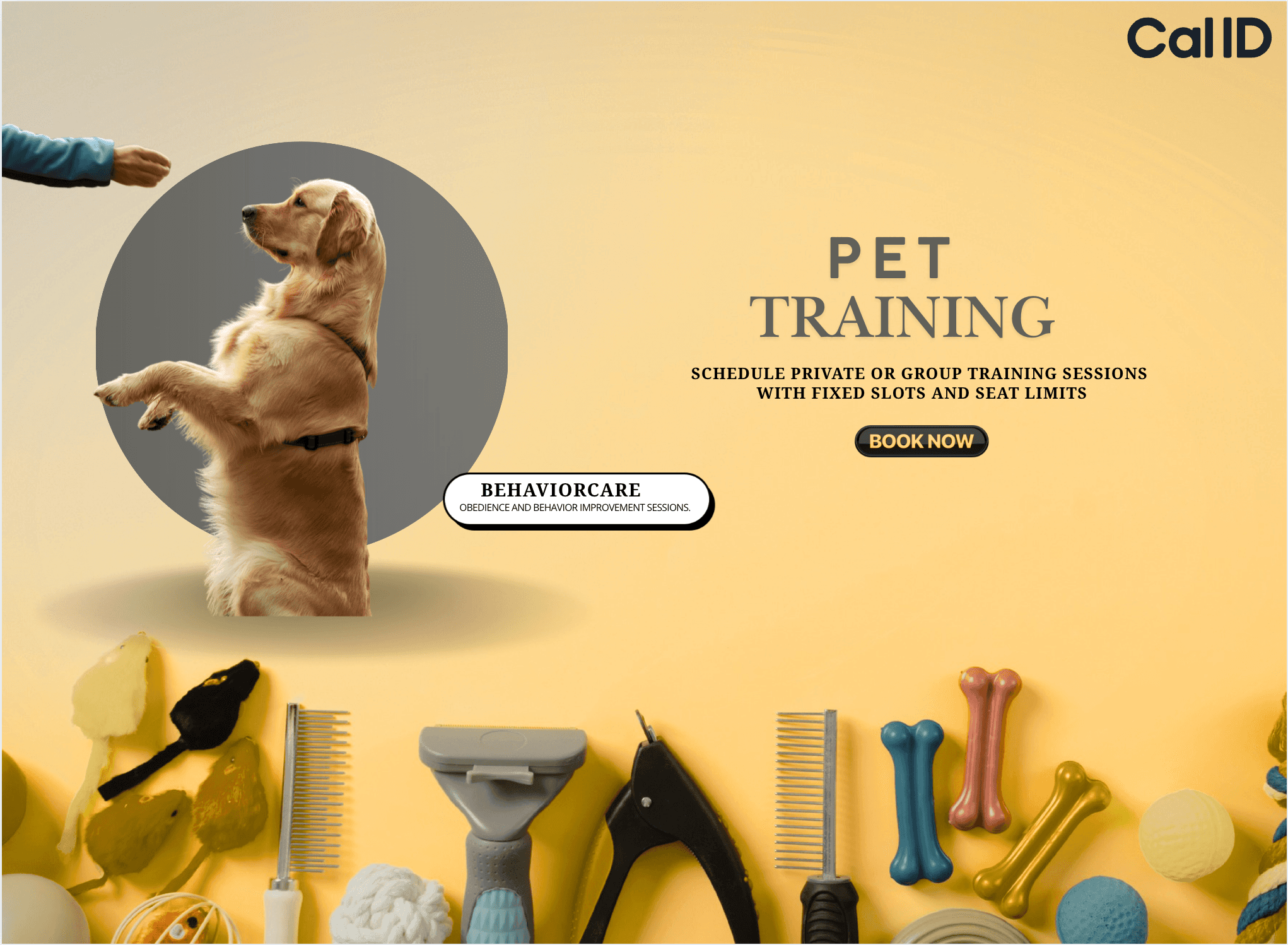 Pet Training