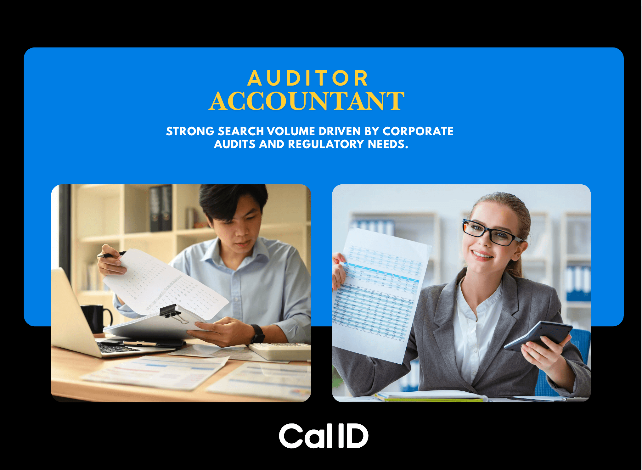 Auditor