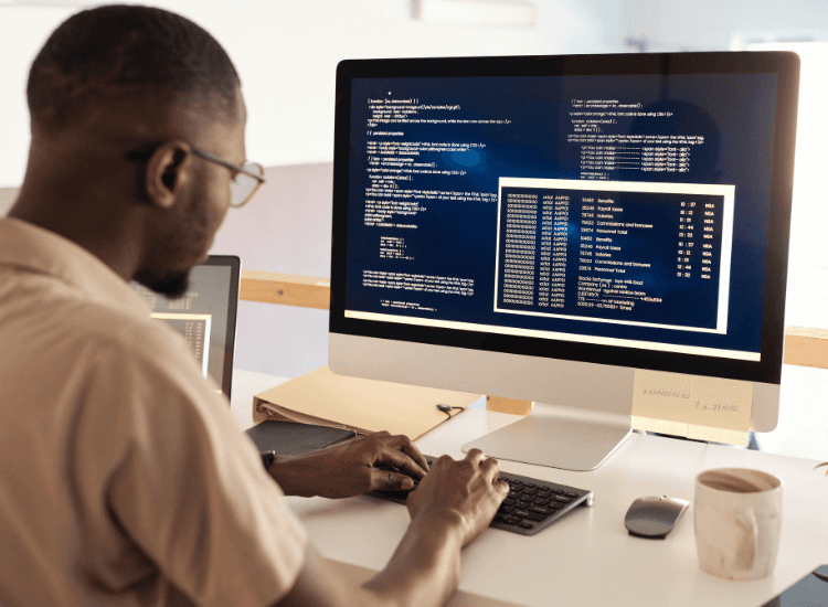 Software Services