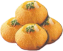 E Panipuri Cart