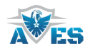 Ava Security
