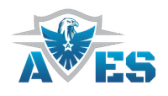 Ava Security