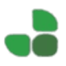 Alpha SaaS