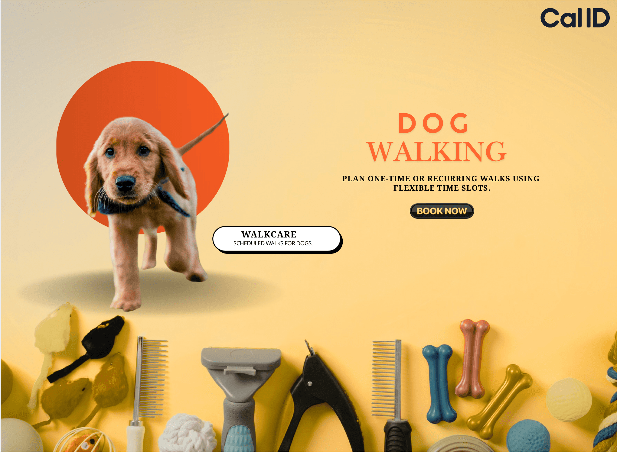 Dog Walking