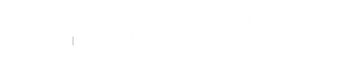Wellness Vive