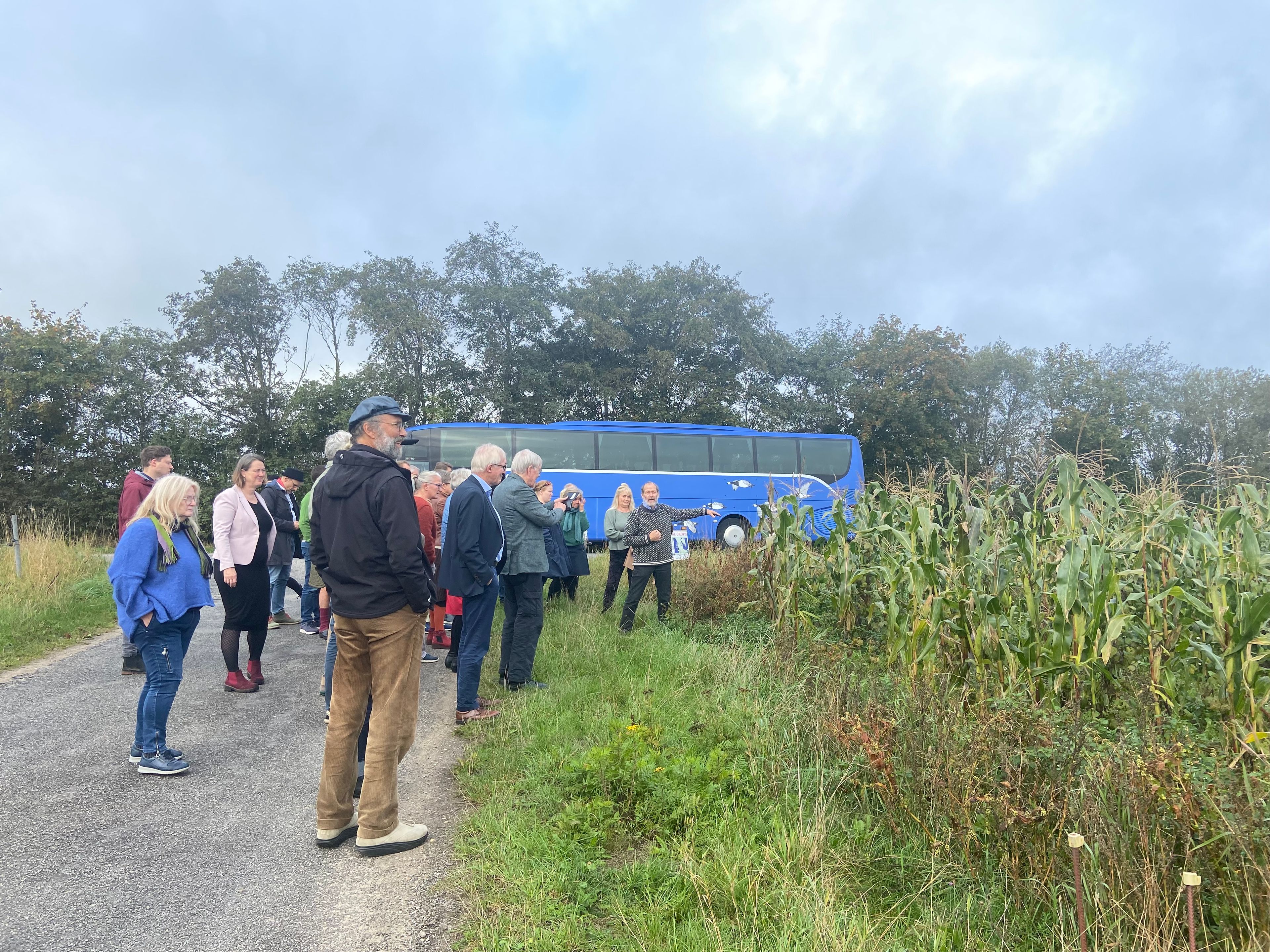 Participants visiting the land art project Criminal Crops (corn field) 