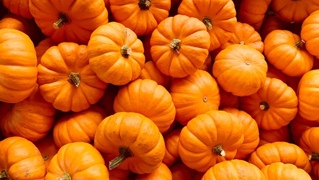 no-waste pumpkin carving
