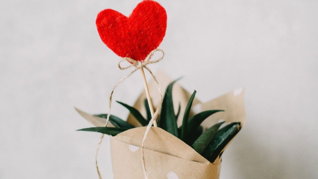 Plant with fabric heart decoration wrapped in heart printed brown paper