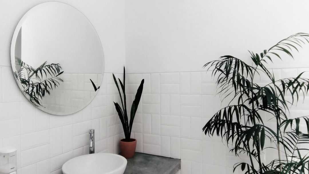 White bathroom tiled walls white bathroom sink on gray counter with mirror above and green plants