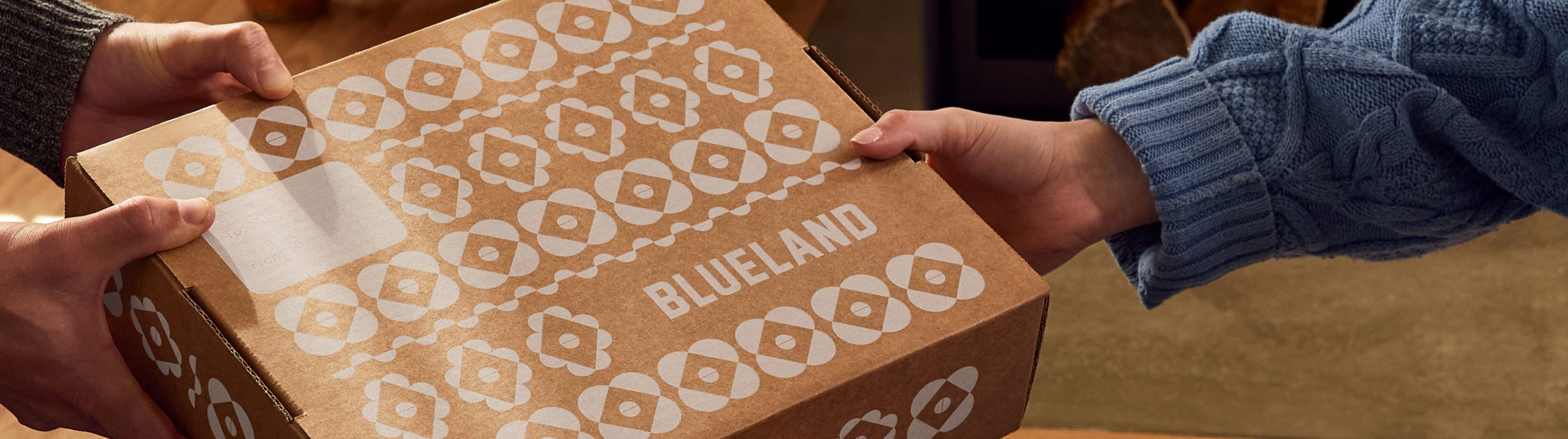 Blueland: Eco-Friendly Cleaning Products