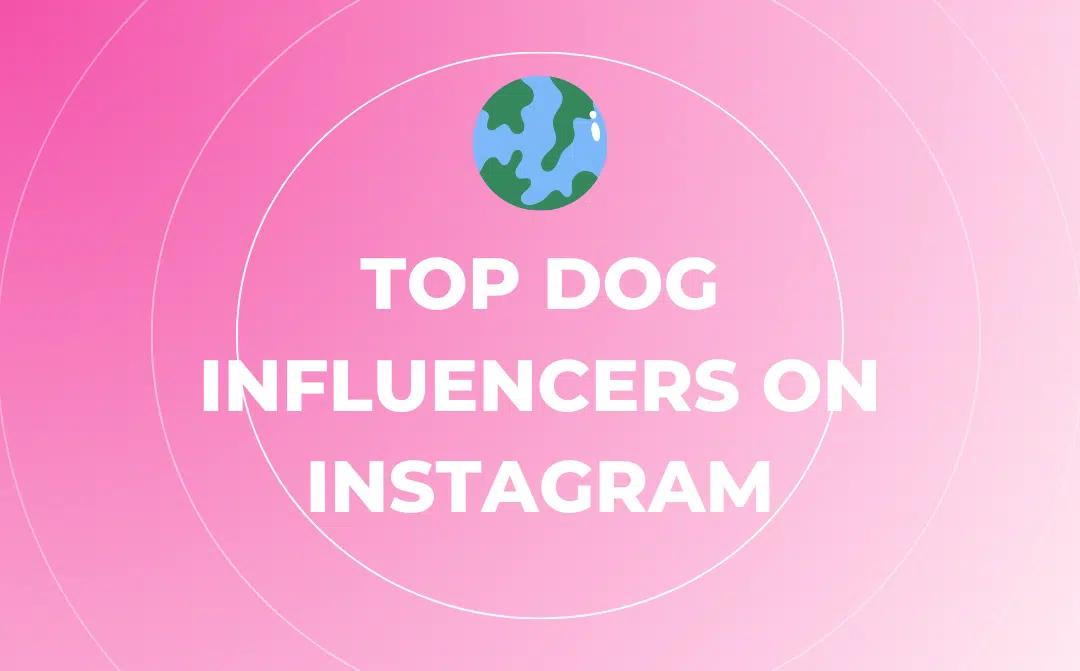 Top Dog Influencers on Instagram