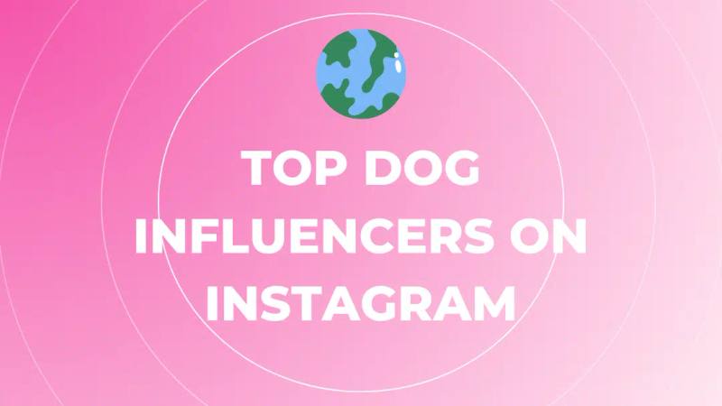 Top Dog Influencers on Instagram