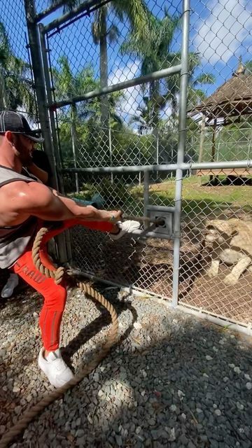 Bradley Martyn: MAN VS LION…who wins? This tank & jogger combo droppin 2day at 12pm(pst) @rawgear C0DE: RAW