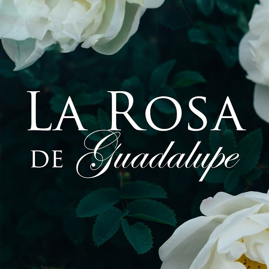 LaRosadeGuadalupeMX