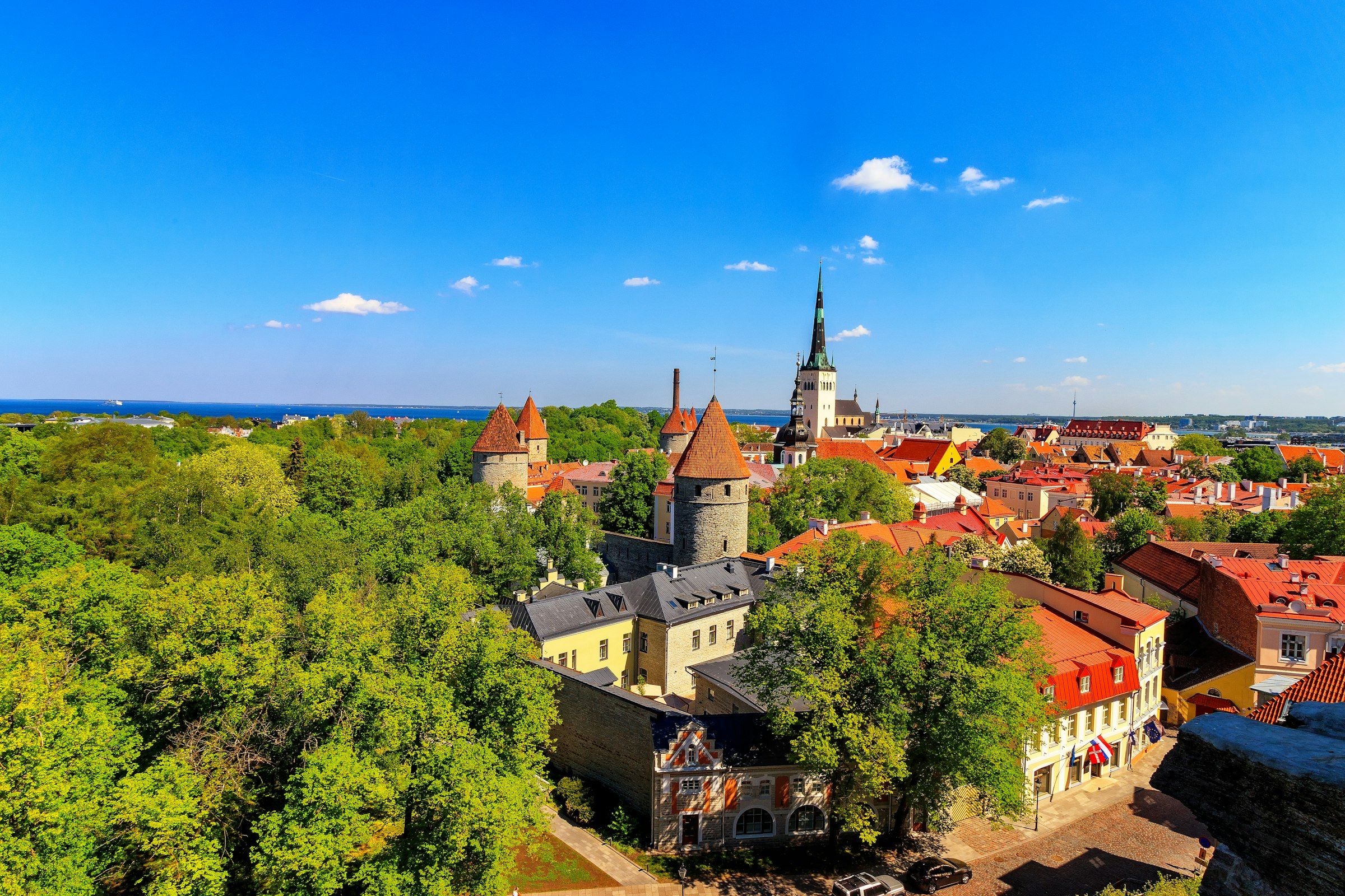 Top 25 Estonian Influencers
