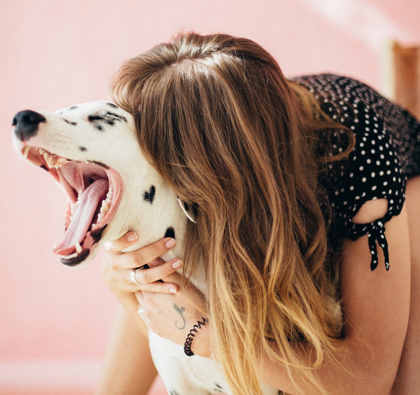Top 10 French Dog Influencers for 2021