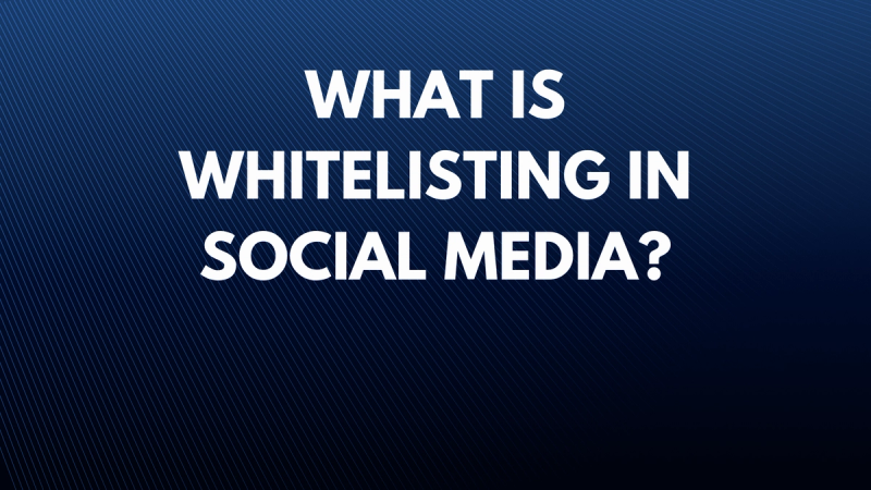 What is whitelisting in social media?