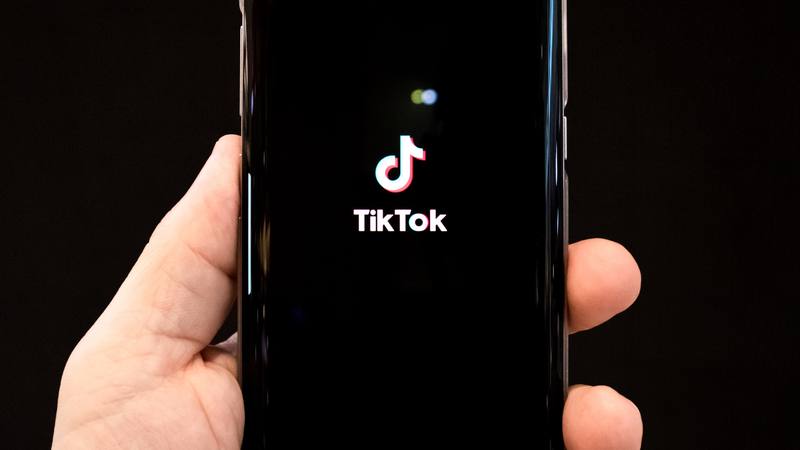 The Rise of TikTok in 2020?