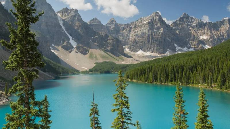 Top 25 Canadian Influencers (Aug 2026)