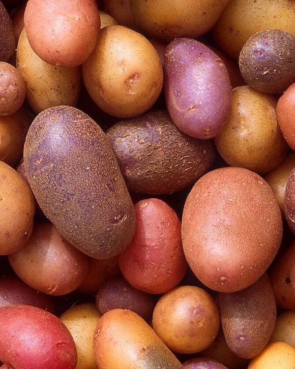 potatoes