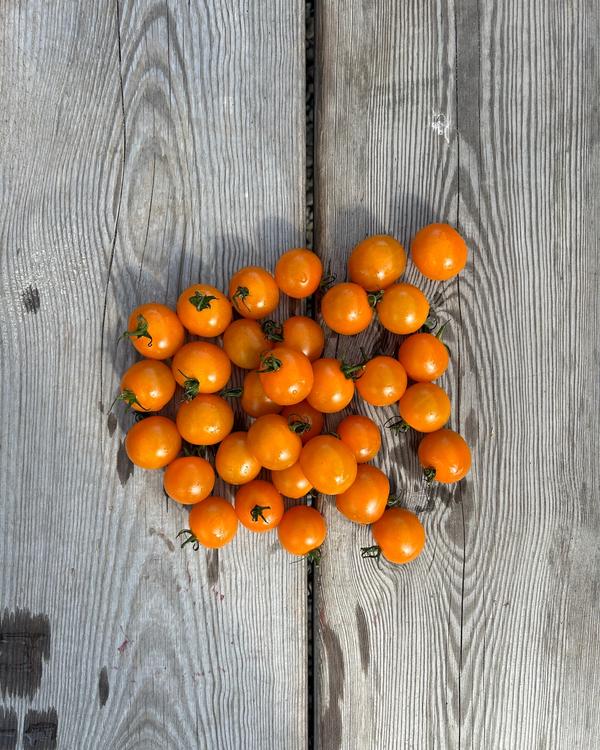 Orangea körsbärstomater