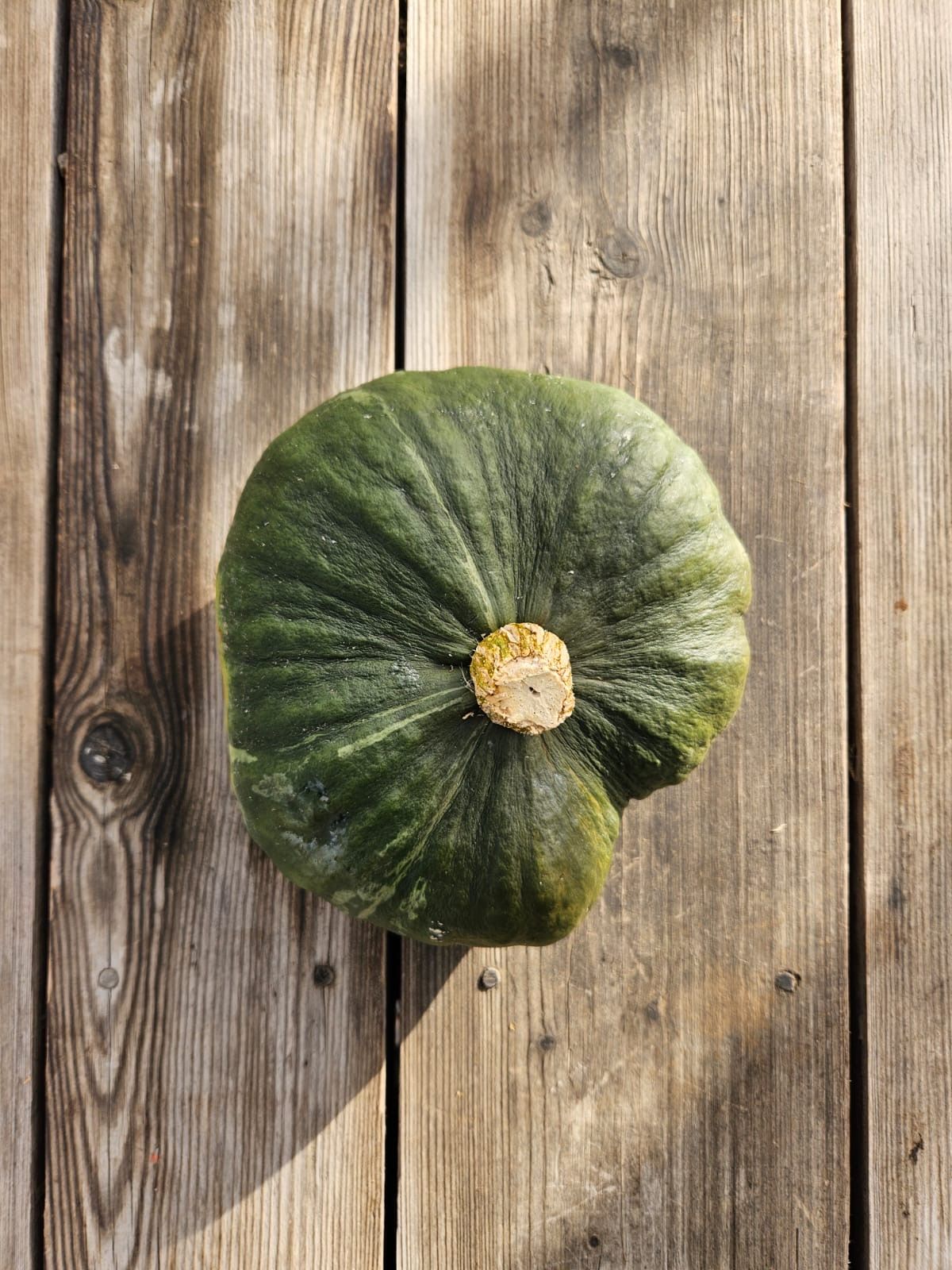 Marina di Chioggia pumpa