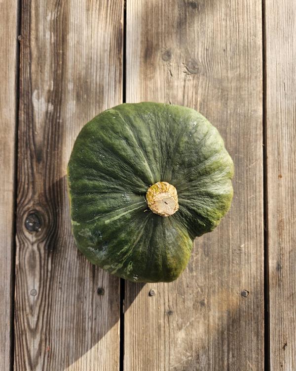 Marina di Chioggia pumpa