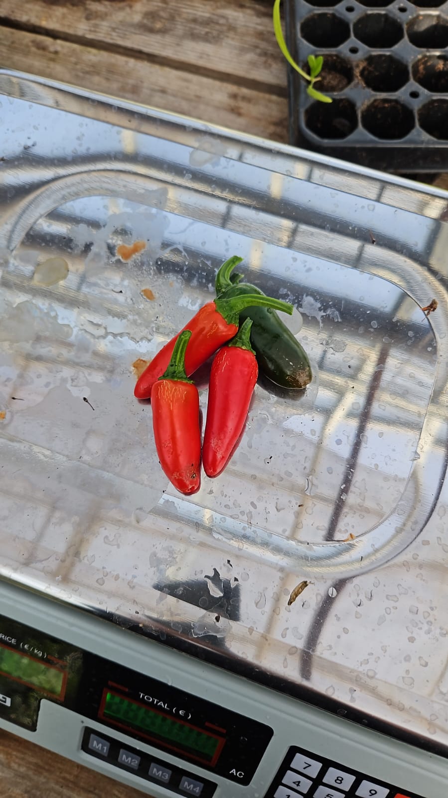 Peppers