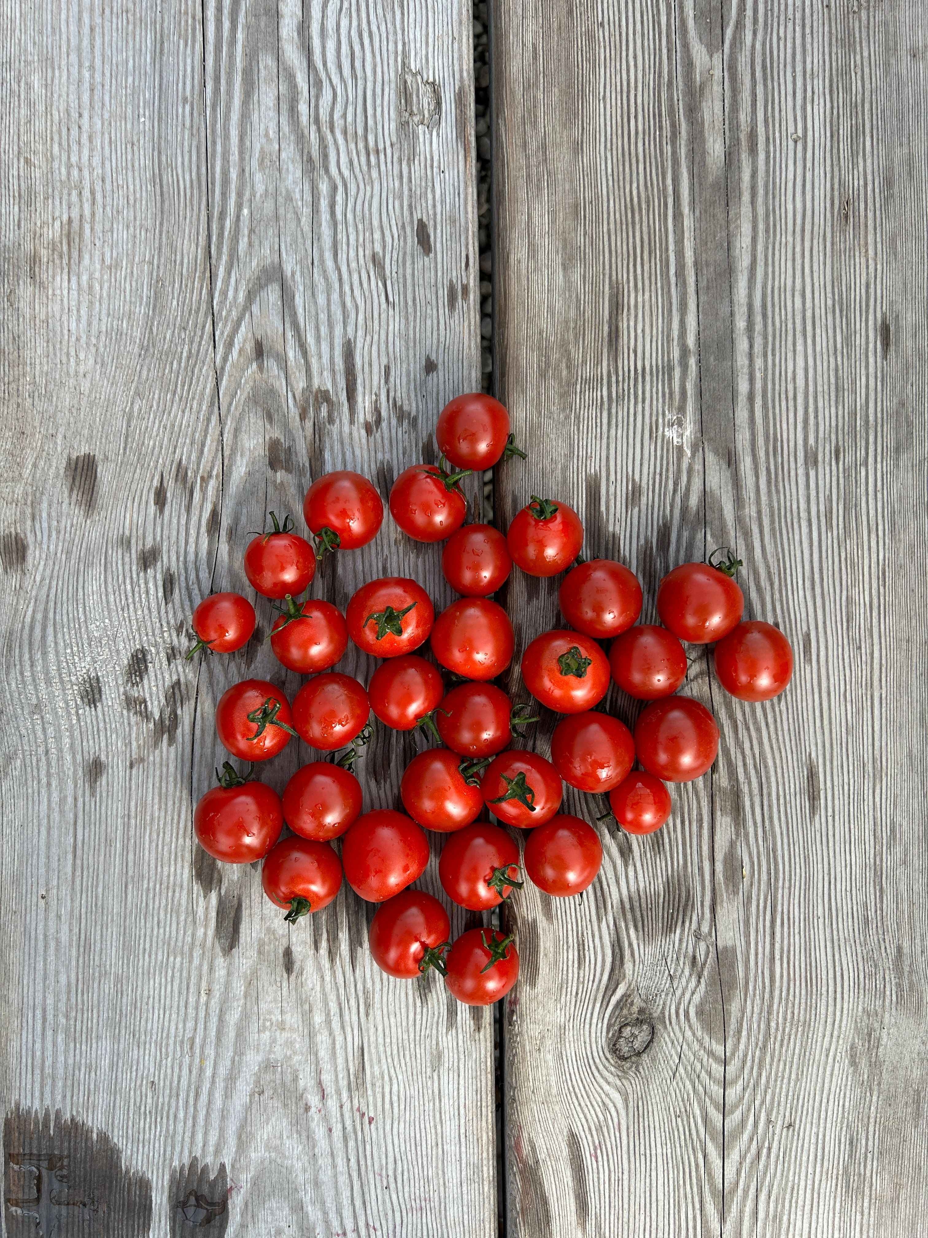 Röda körsbärstomater