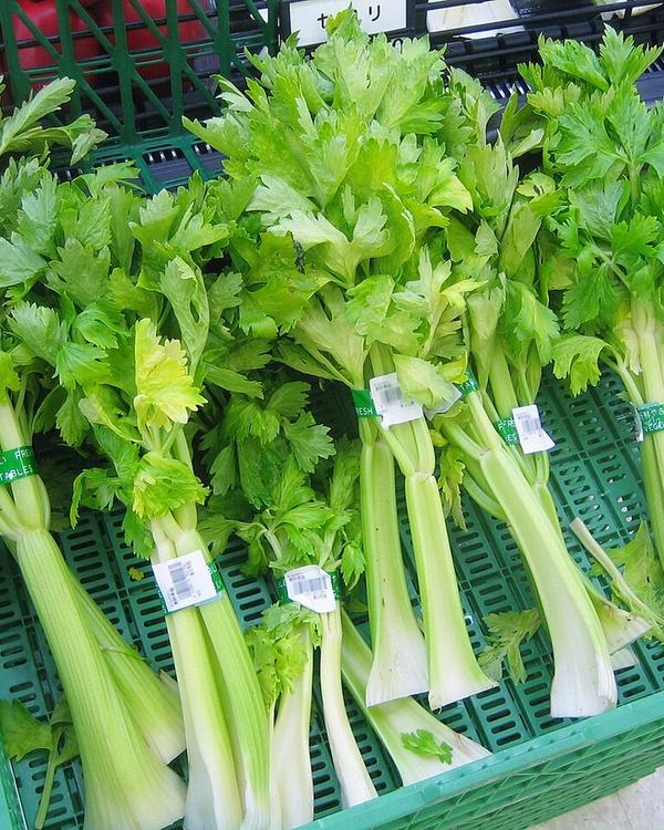 Celery