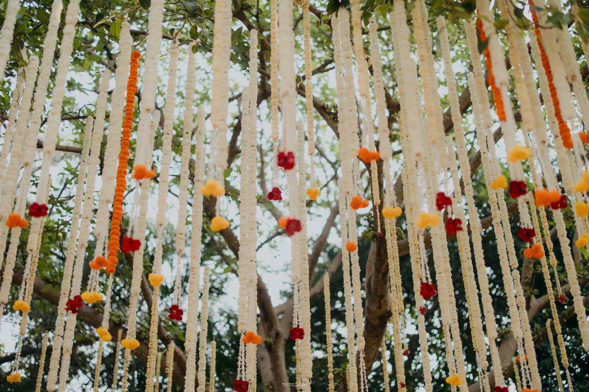 Sourabh & Kirti, moment 7