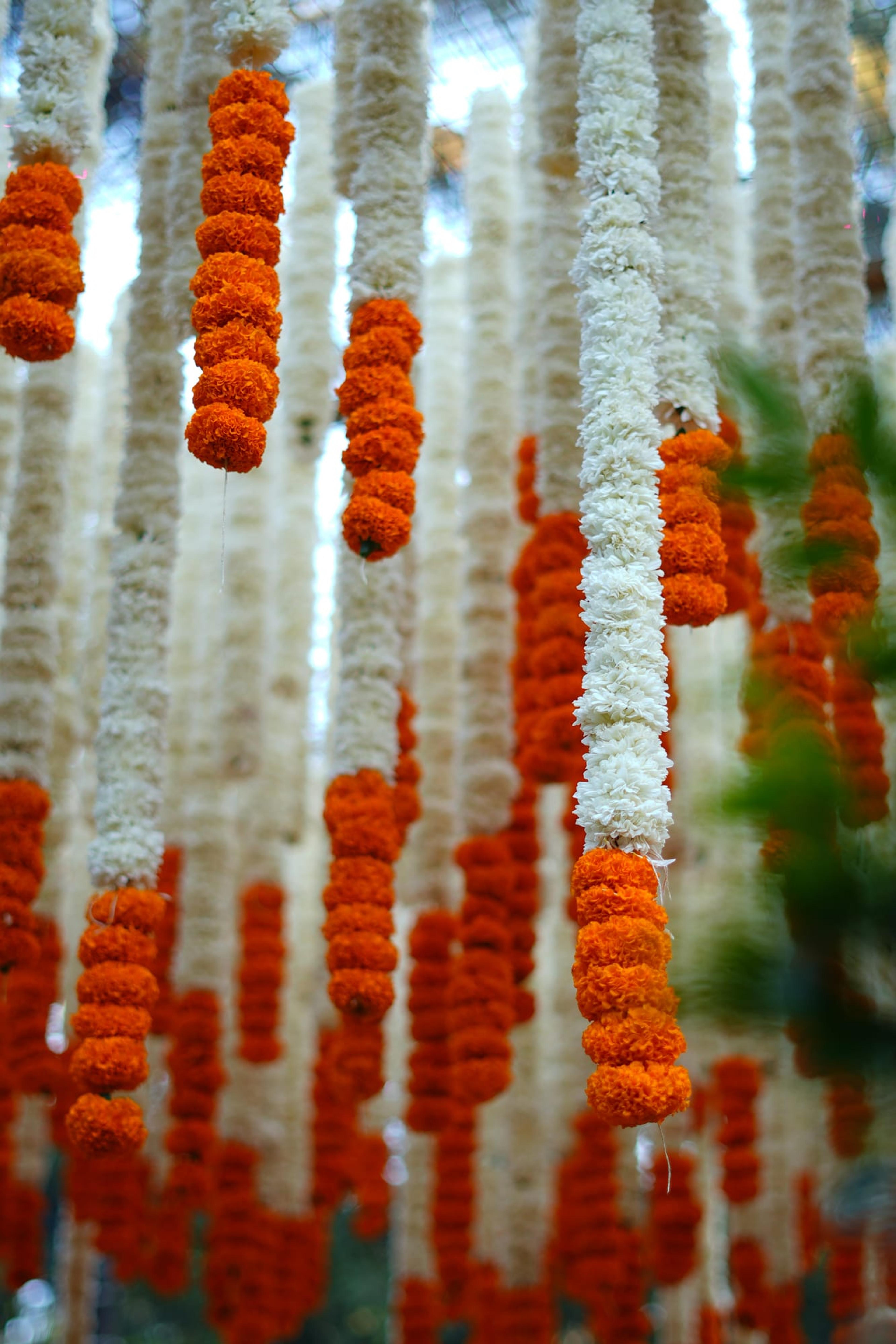 Nischita & Iishm, moment 5