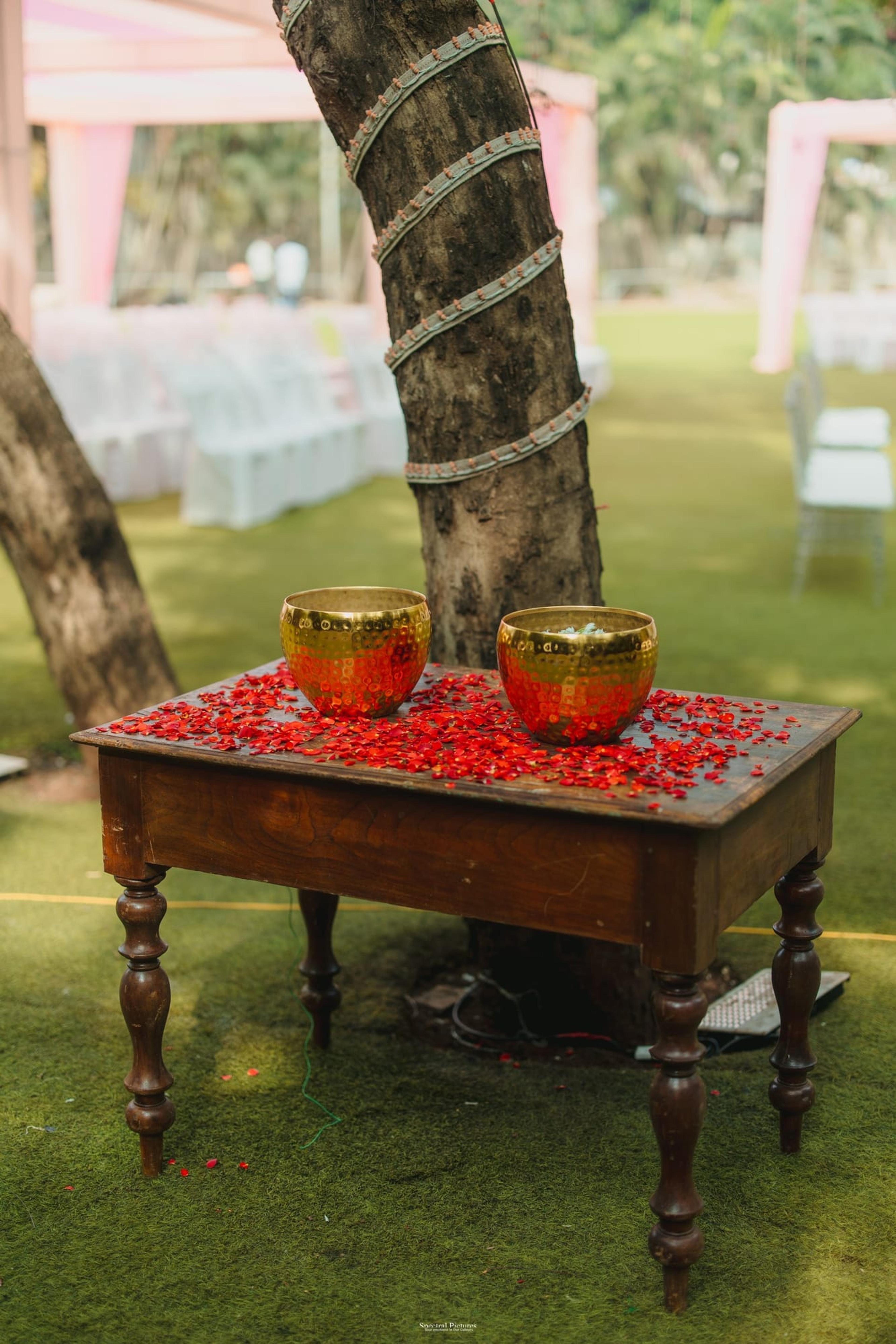 Sourabh & Kirti, moment 15