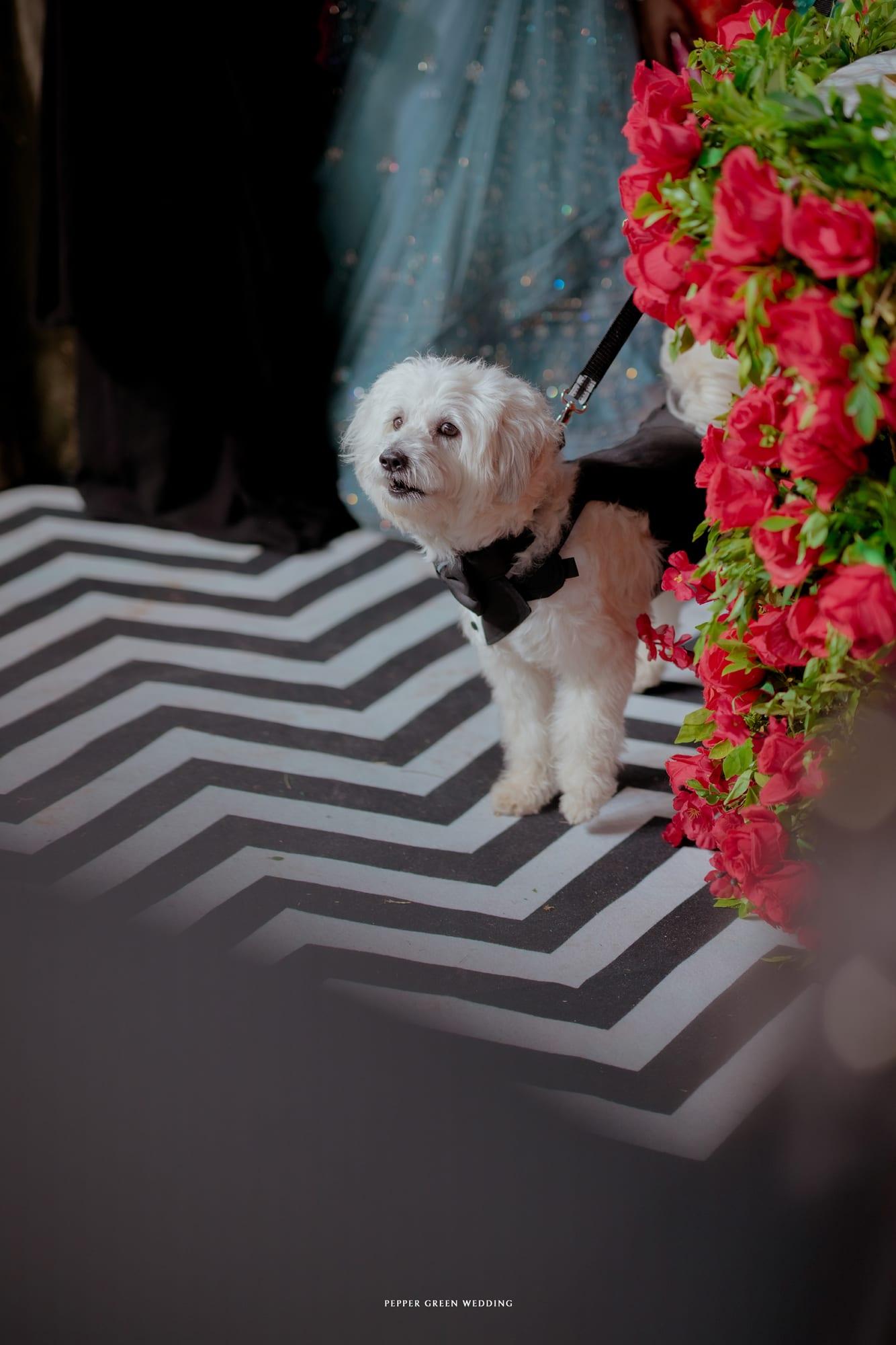 Shreyas & Saloni, moment 9