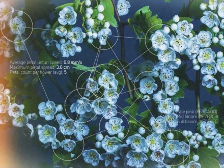 Golden Analytics product visualization