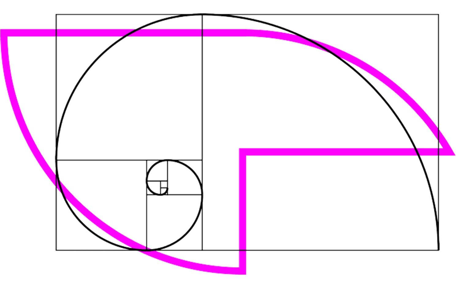 The Golden Ratio spiral with the mark shape overlaid in pink, showing how the logo was derived