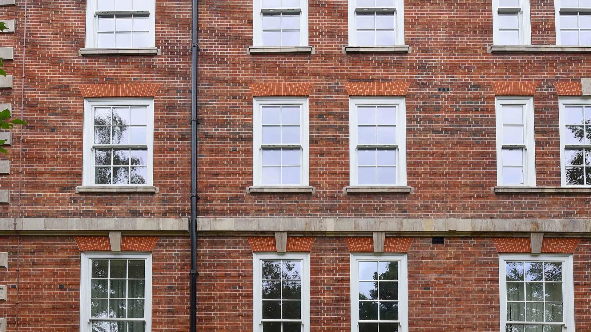 conservation windows