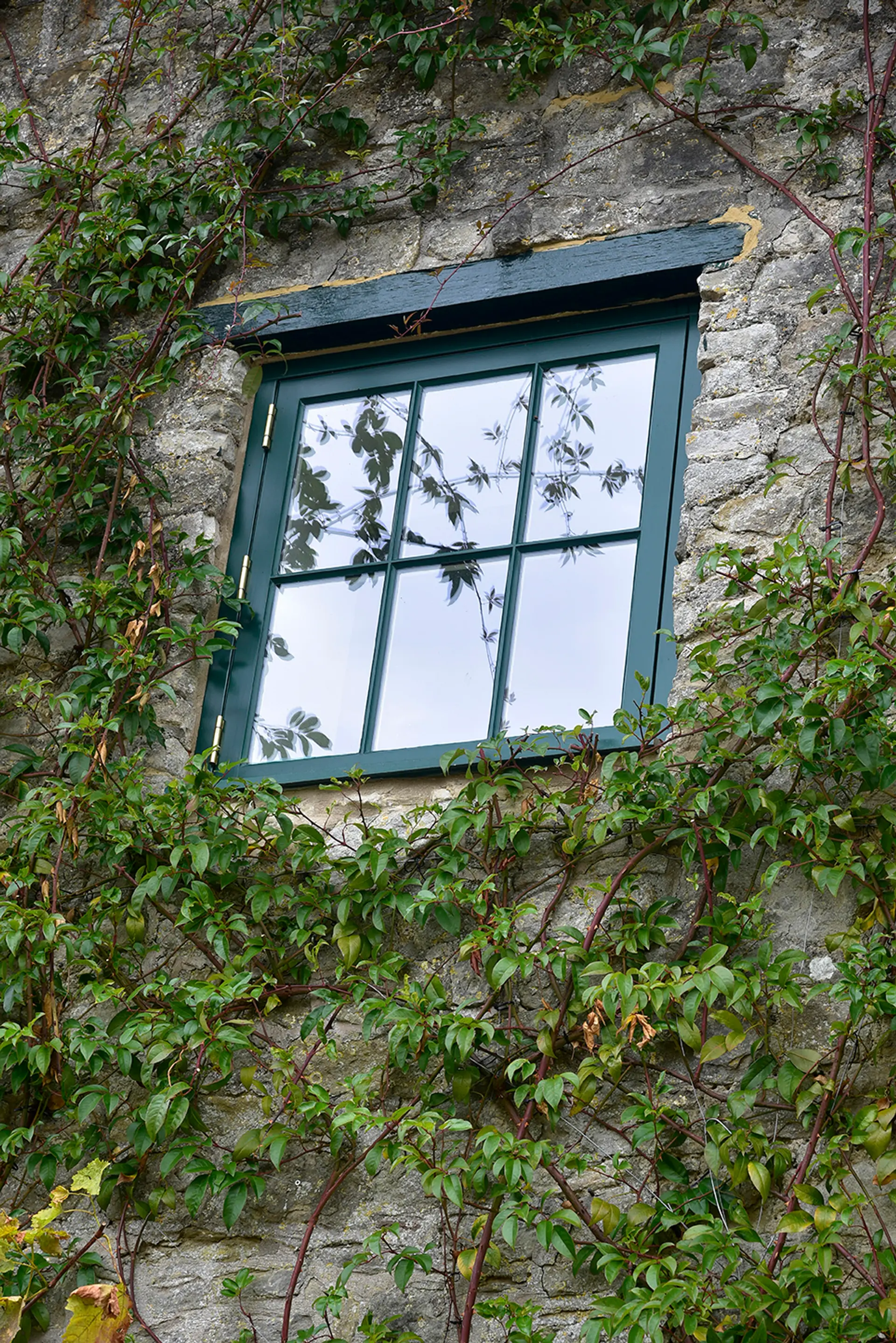 casement-windows-green