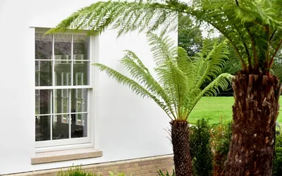 Building Greener: Why Sustainable Construction Is Crucial