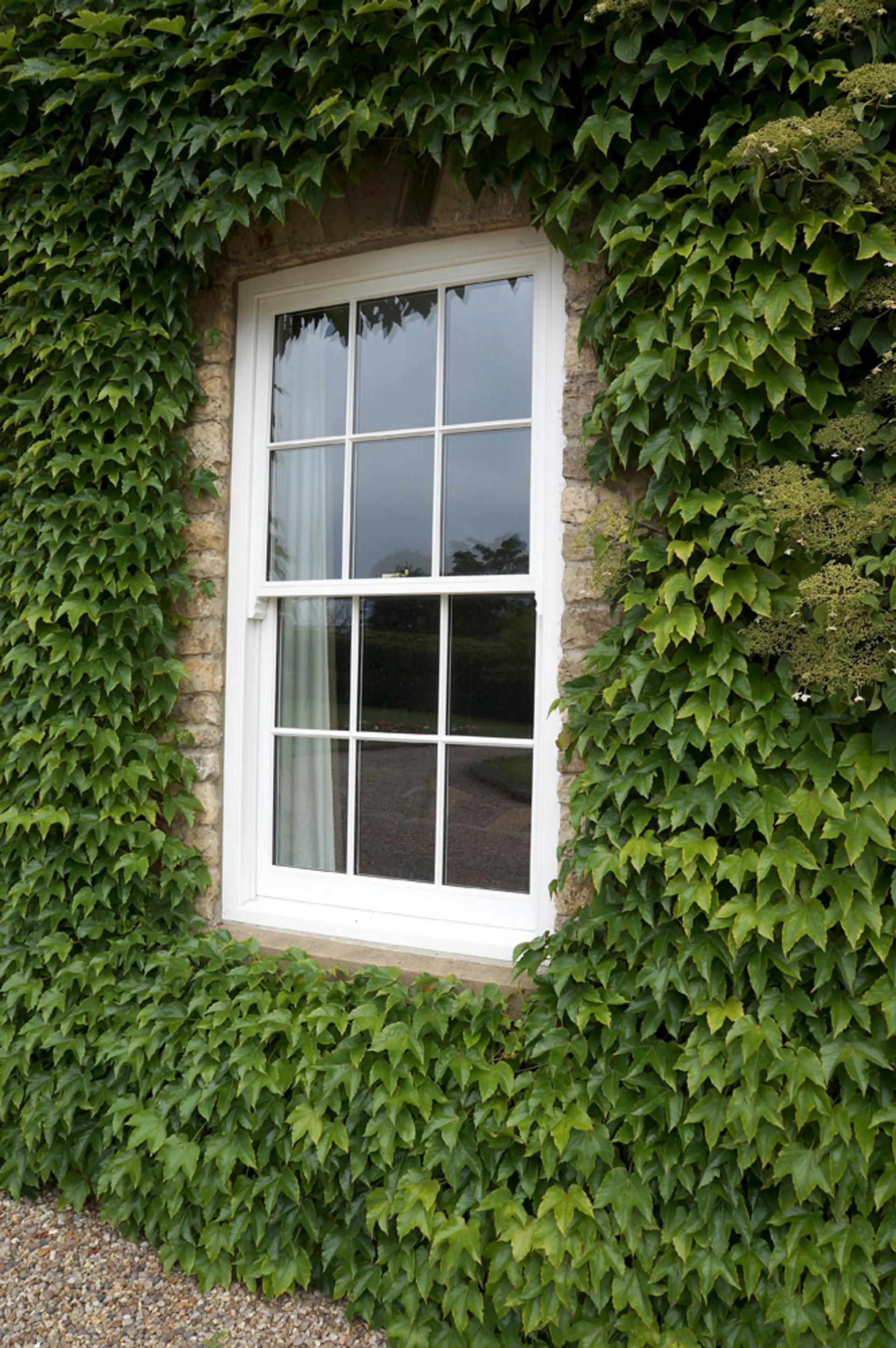 Sash Windows White Exterior 66 - Sash window in White