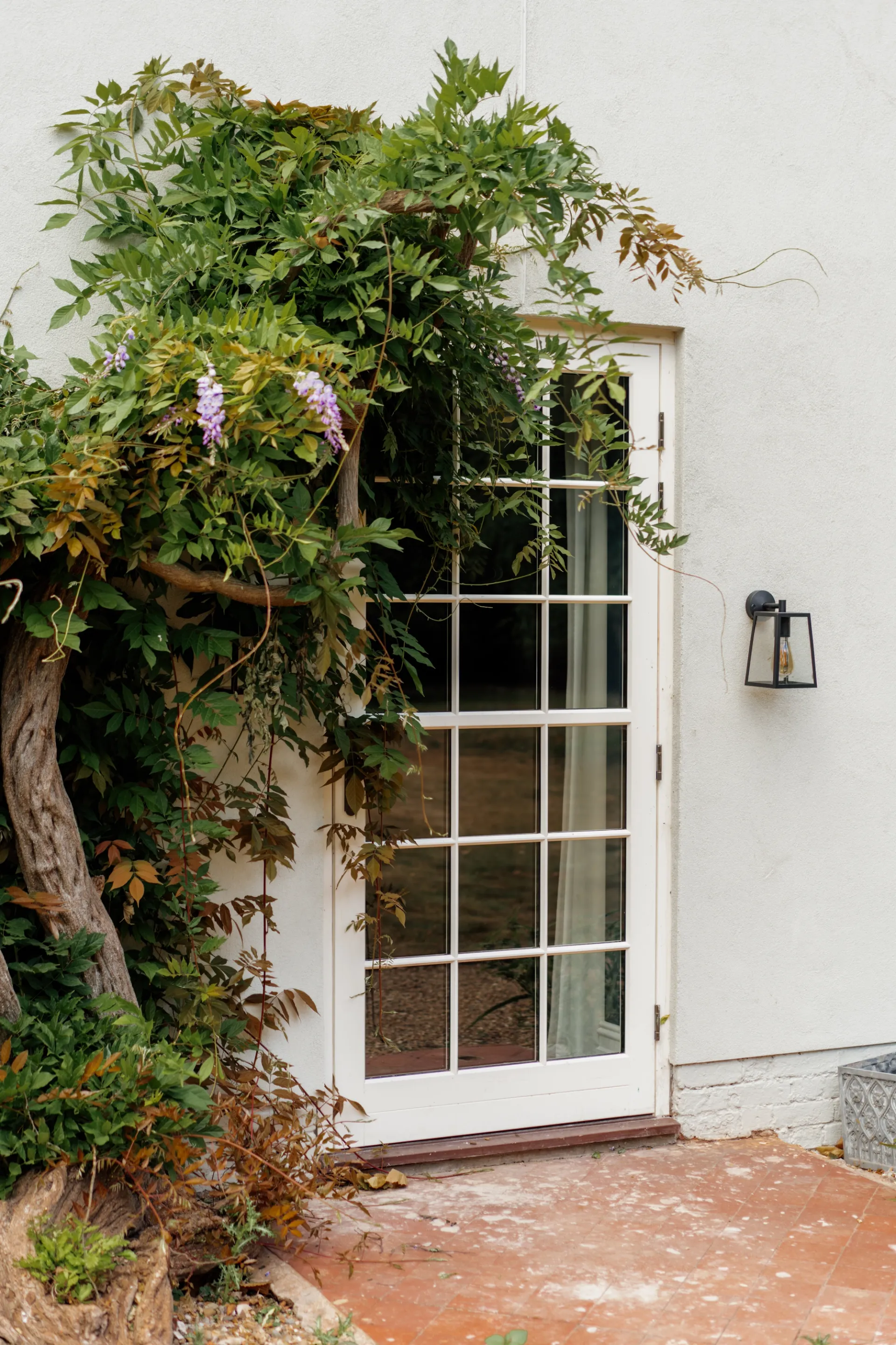 Single Door White Exterior 4 - Single door in White