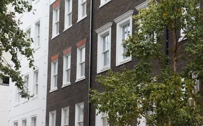 Timber vs Aluminium & uPVC: Which Windows Are Best for Your Build?