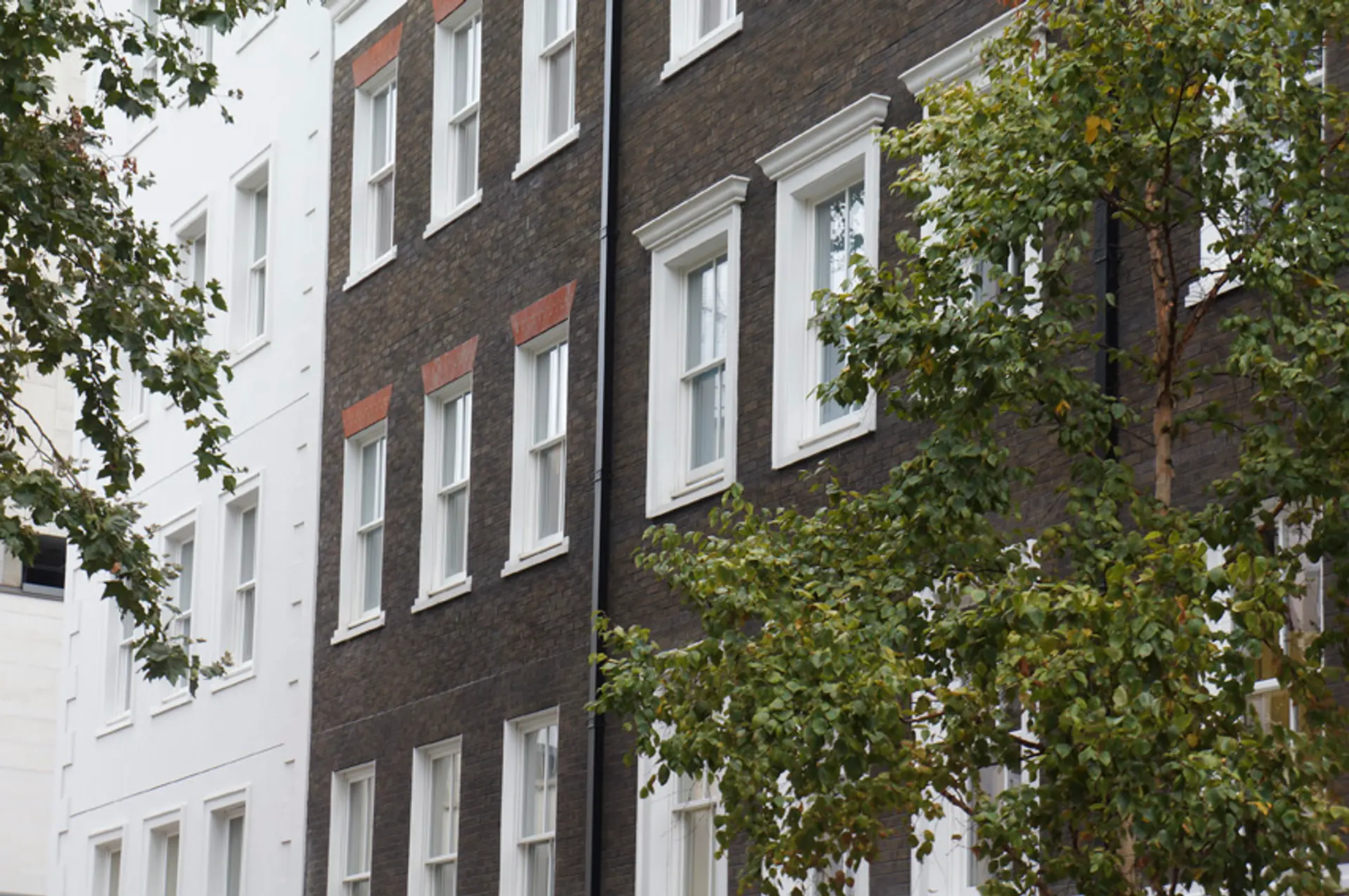 Sash Windows White Exterior 91 - Sash window in White