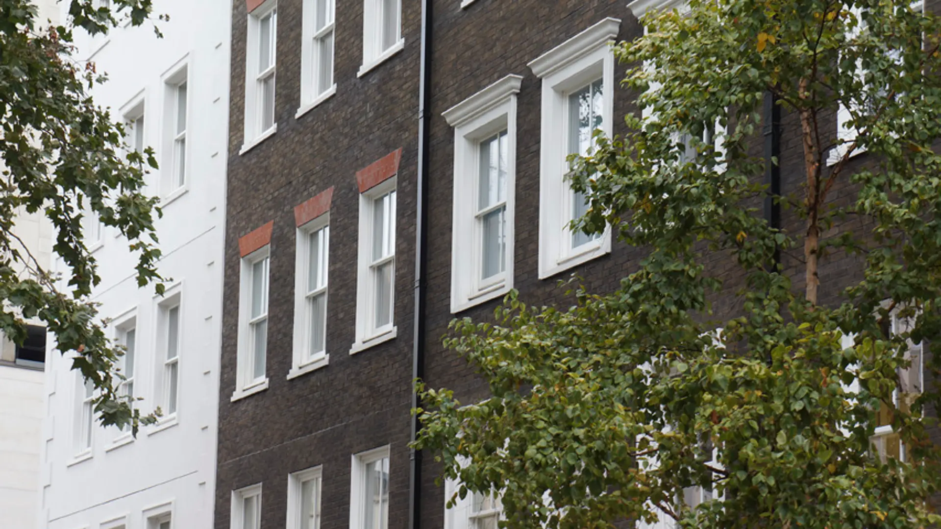Timber vs Aluminium & uPVC: Which Windows Are Best for Your Build?