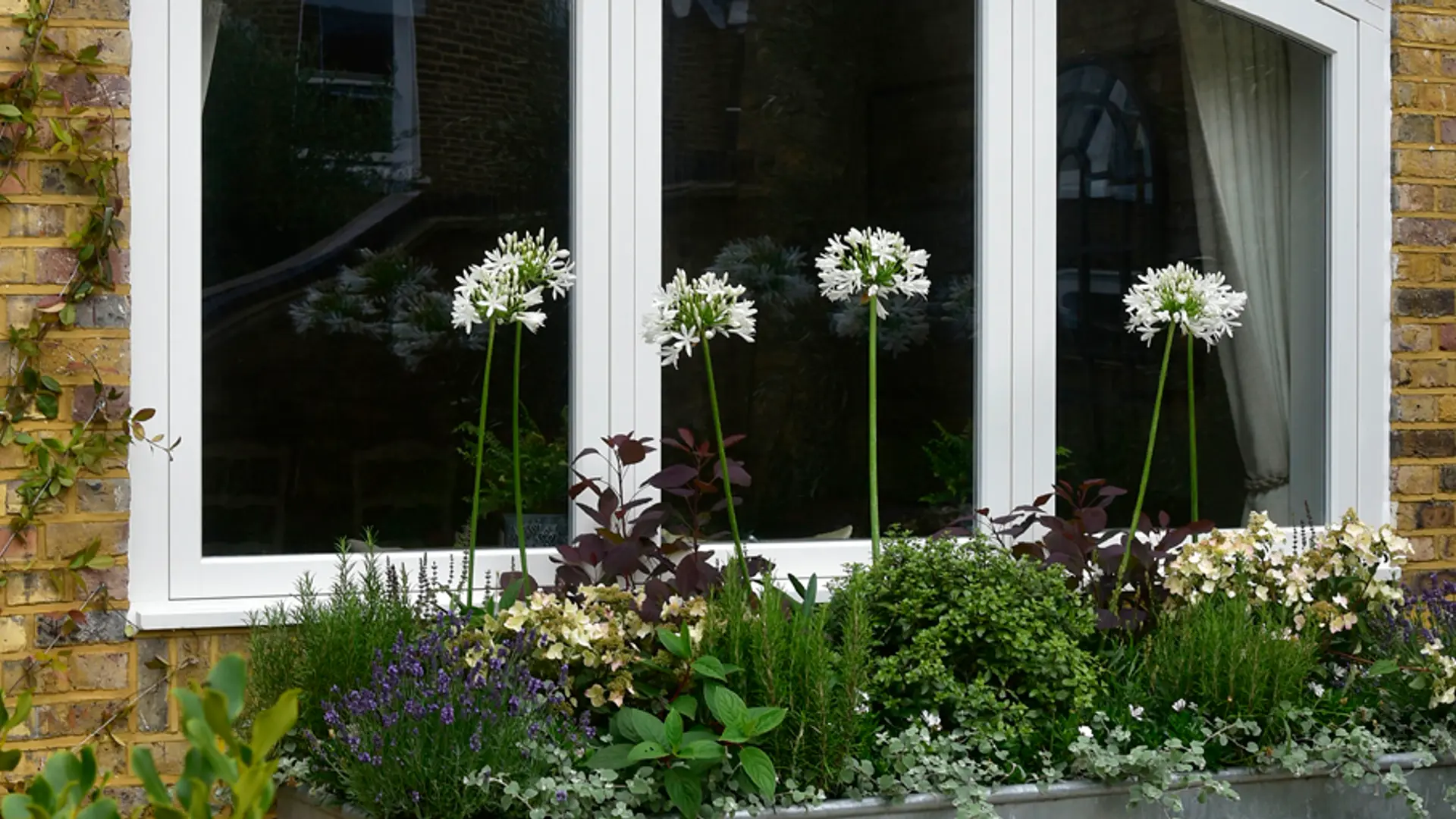 Casement Windows White Exterior 55 - Casement window in White