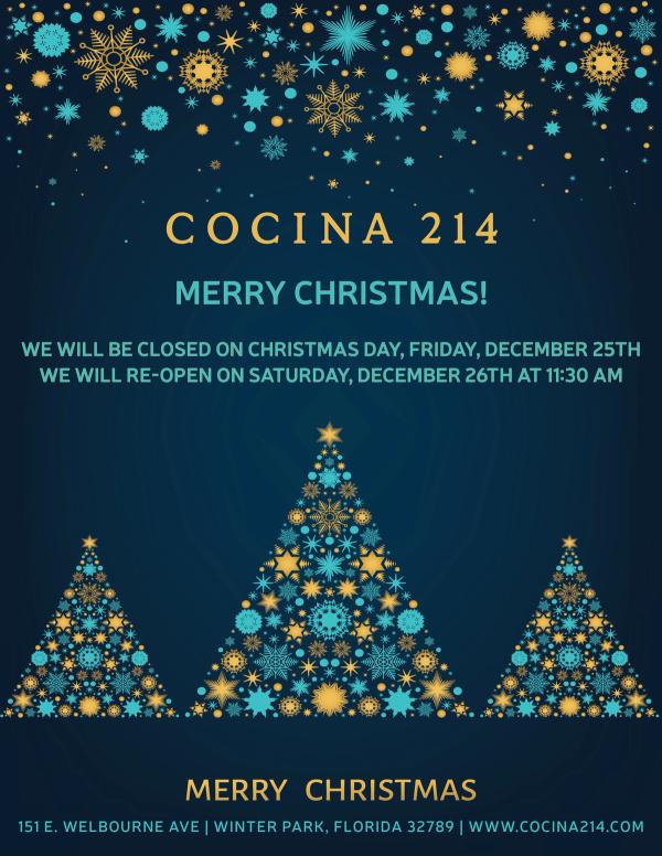 image from Christmas Eve and Christmas Day