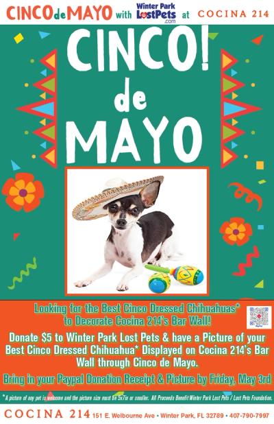 image from Looking for the Best Cinco de Mayo Dressed Chihuahuas to Decorate Cocina 214’s Bar Wall!