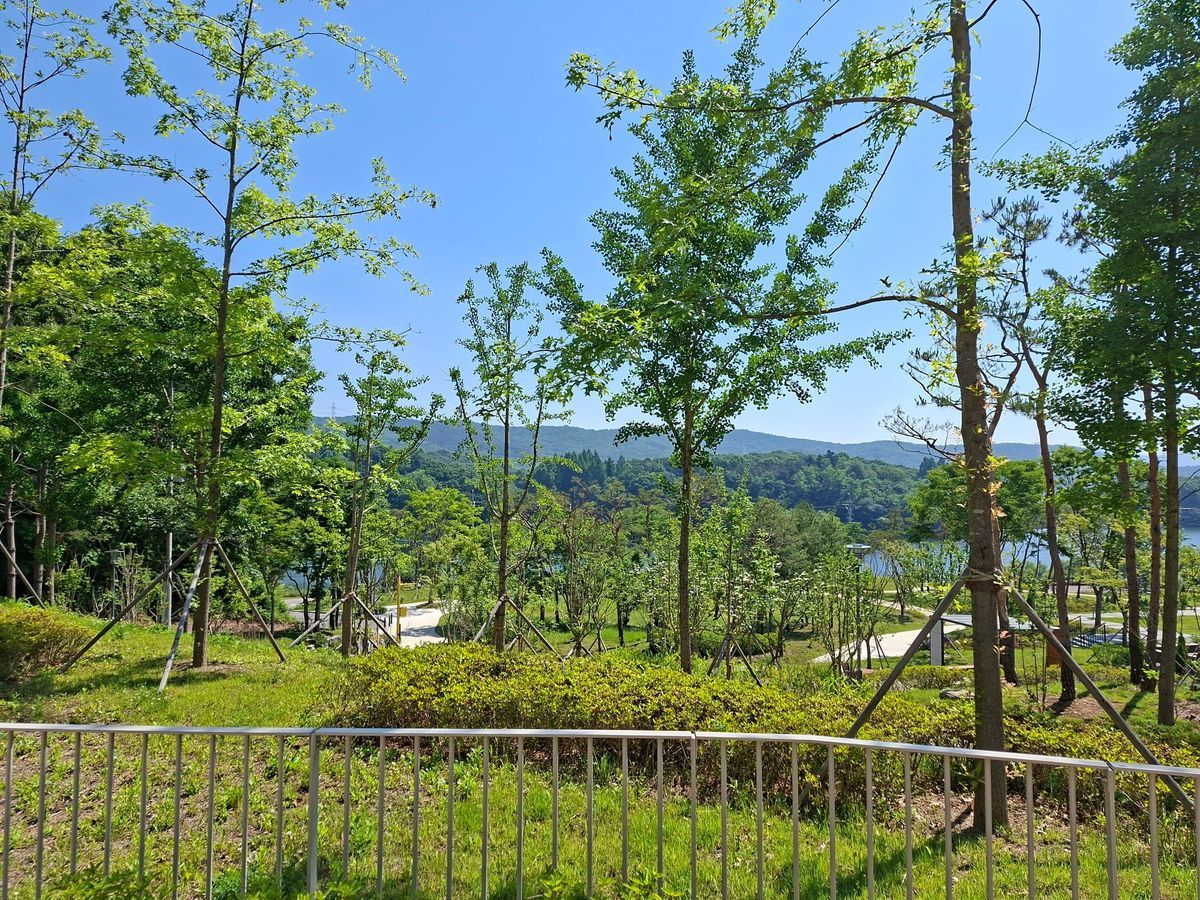 공원 속의 밀도