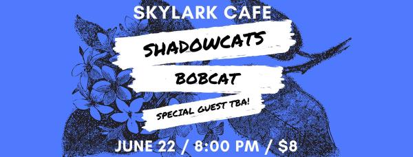 Flyer for Bobcat show on 06/22/2018 at Skylark